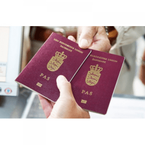 Buy Danish passport online via WhatsApp number +44 77 60818474 .. more