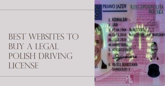 The Best Websites to Buy a Legal Polish Driving License Online in 2023